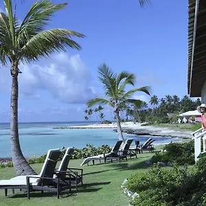 Club Med بونتا كانا